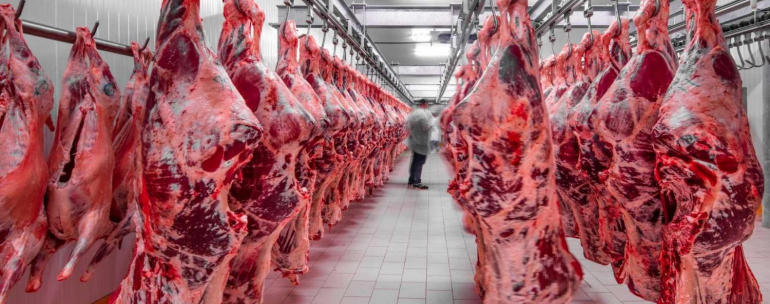 راهنمای خرید جت پرینتر برای کشتارگاه و طرز استفاده از آن